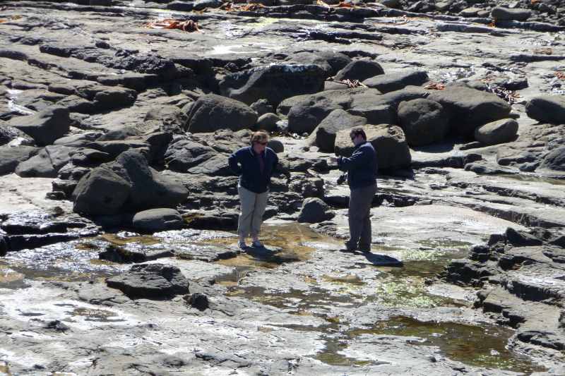 Nieuw-Zeeland 2011 - 1838